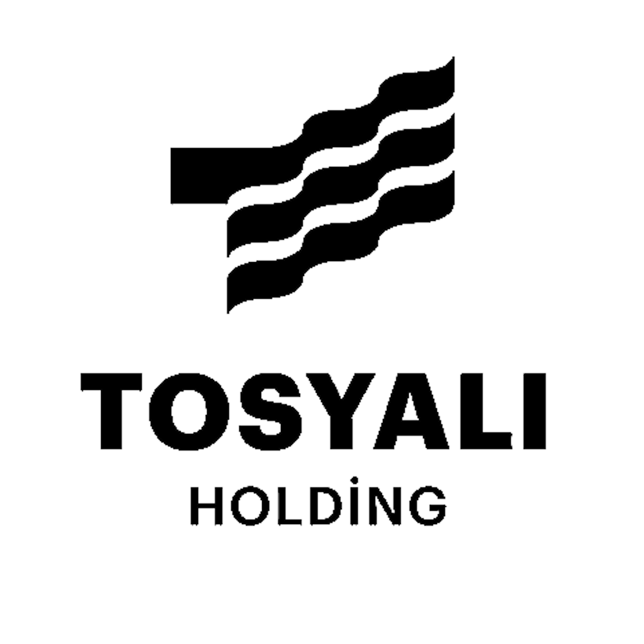 Tosyalı Holding